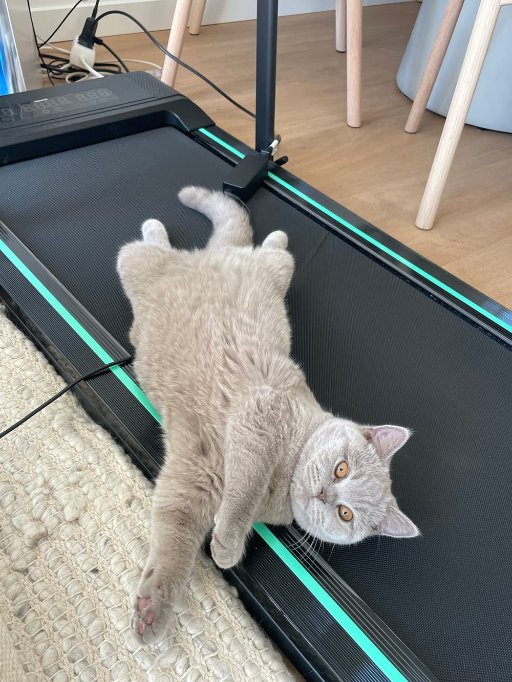 Sporten met ADHD: waarom een loopband een gamechanger is